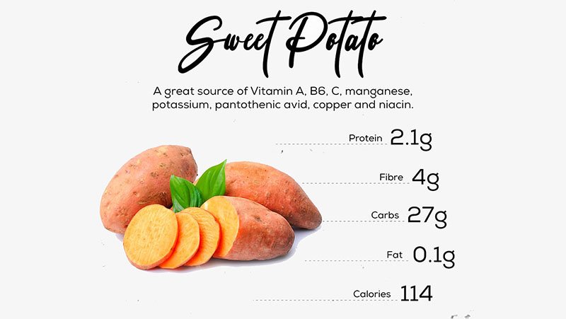 Benefits of Sweet Potatoes in a Sugar Glider’s Diet