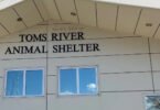 Toms River Council Rejects Mayor's Plan to Privatize Animal Control