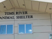 Toms River Council Rejects Mayor’s Plan to Privatize Animal Control Toms River Council Rejects Mayor's Plan to Privatize Animal Control