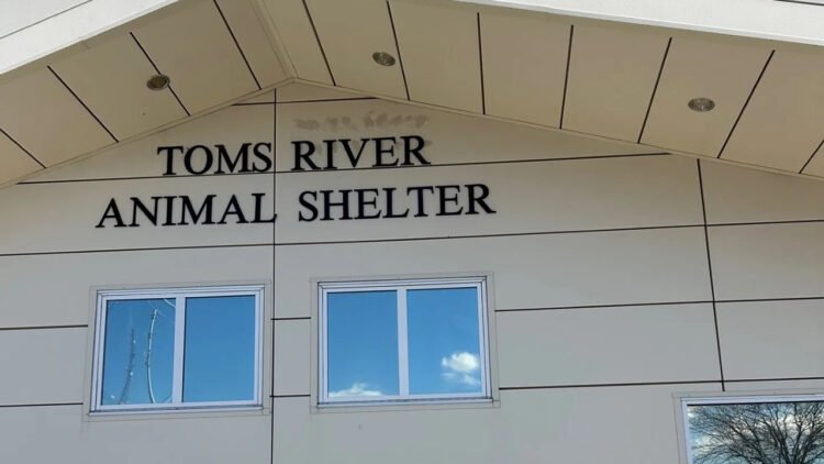 Toms River Council Rejects Mayor's Plan to Privatize Animal Control