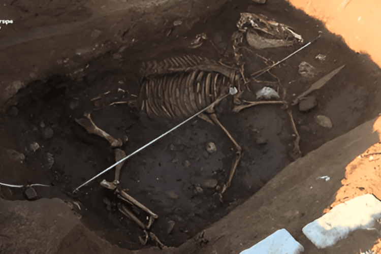 Ancient Animal Burial Site in Montenegro