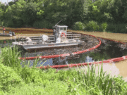 Tragedy on Bayou Lafourche: Oil Spill Claims Lives of Over 20 Animals, Threatening Ecosystem Bayou Lafourche Oil Spill Claims Lives of Over 20 Animals
