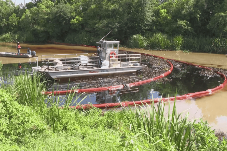 Bayou Lafourche Oil Spill Claims Lives of Over 20 Animals