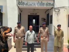 How Did a Rottweiler Maul a 4-Month-Old Baby to Death in Ahmedabad? Owner Now in Custody How Did a Rottweiler Maul a 4-Month-Old Baby to Death in Ahmedabad