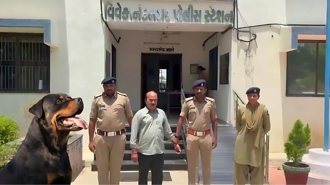 How Did a Rottweiler Maul a 4-Month-Old Baby to Death in Ahmedabad